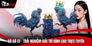 Đá gà C1