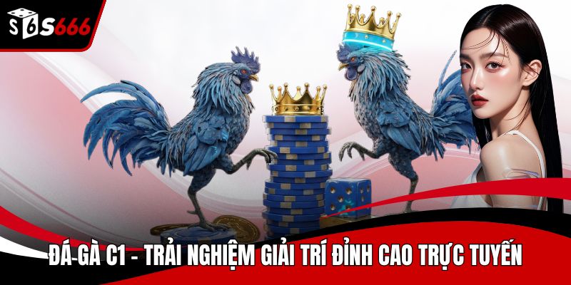 Đá gà C1