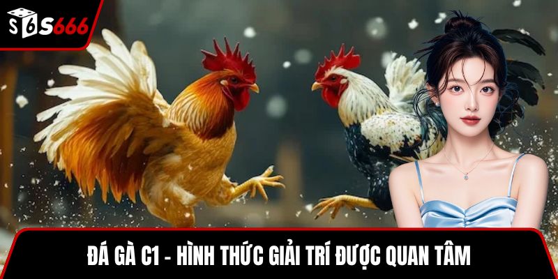 Đá gà C1 – Hình thức giải trí được quan tâm