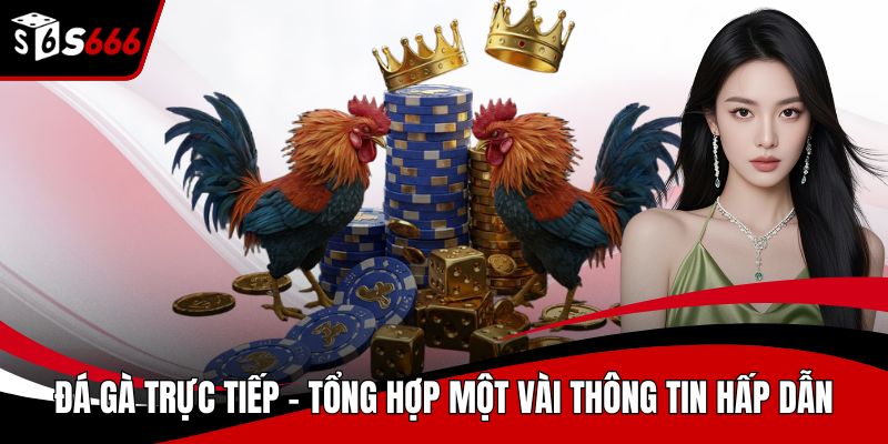 Đá gà trực tiếp