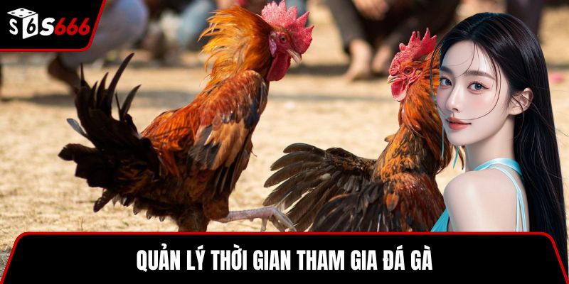Quản lý thời gian tham gia đá gà