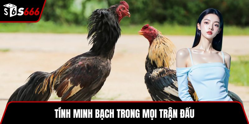 Tính minh bạch trong mọi trận đấu