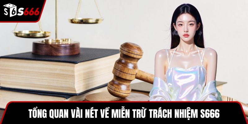 Tổng quan vài nét về miễn trừ trách nhiệm S666