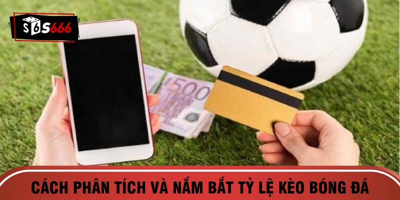 Bí quyết phân tích và nắm bắt tỷ lệ kèo 