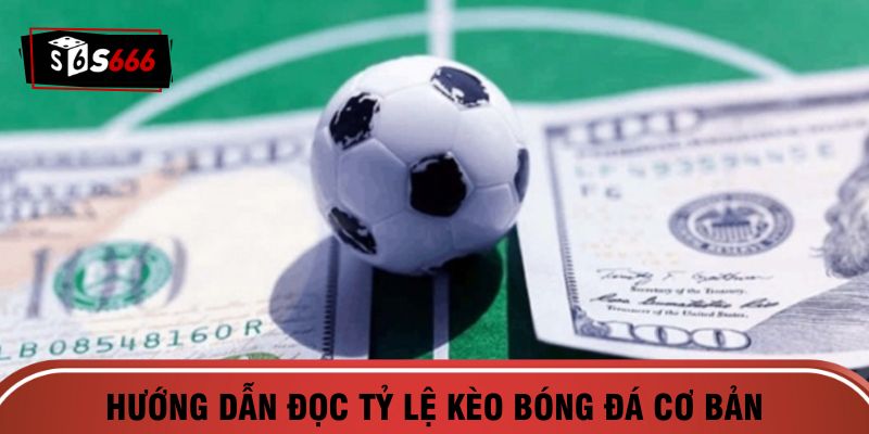 Hướng dẫn cách đọc tỷ lệ kèo cơ bản