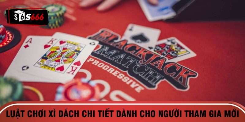 Luật chơi xì dách chi tiết dành cho người tham gia mới
