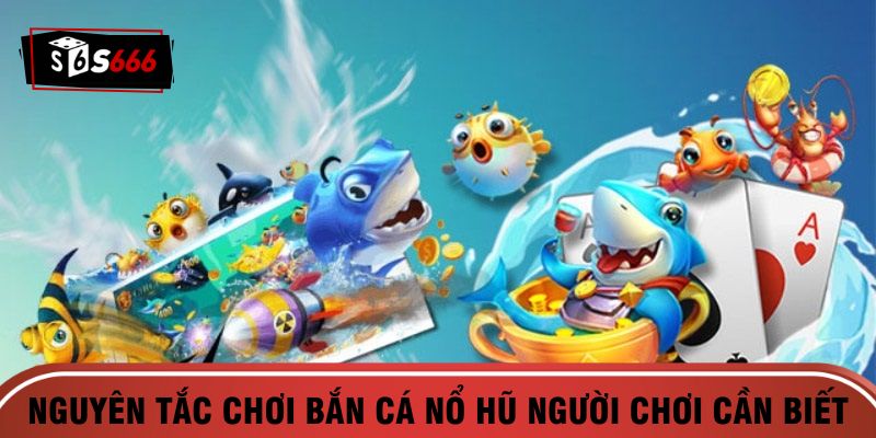 Nguyên tắc chơi bắn cá nổ hũ người chơi cần biết
